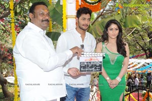 Prince-Ankita Sharma Film Muhurat