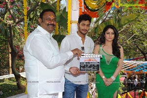 Prince-Ankita Sharma Film Muhurat