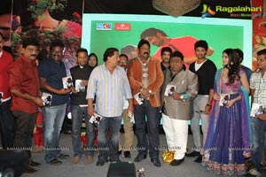 Thanu Monne Vellipoyindi Music Launch