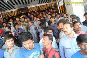 Yevadu Hungama Photos