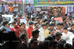 Yevadu Hungama Photos