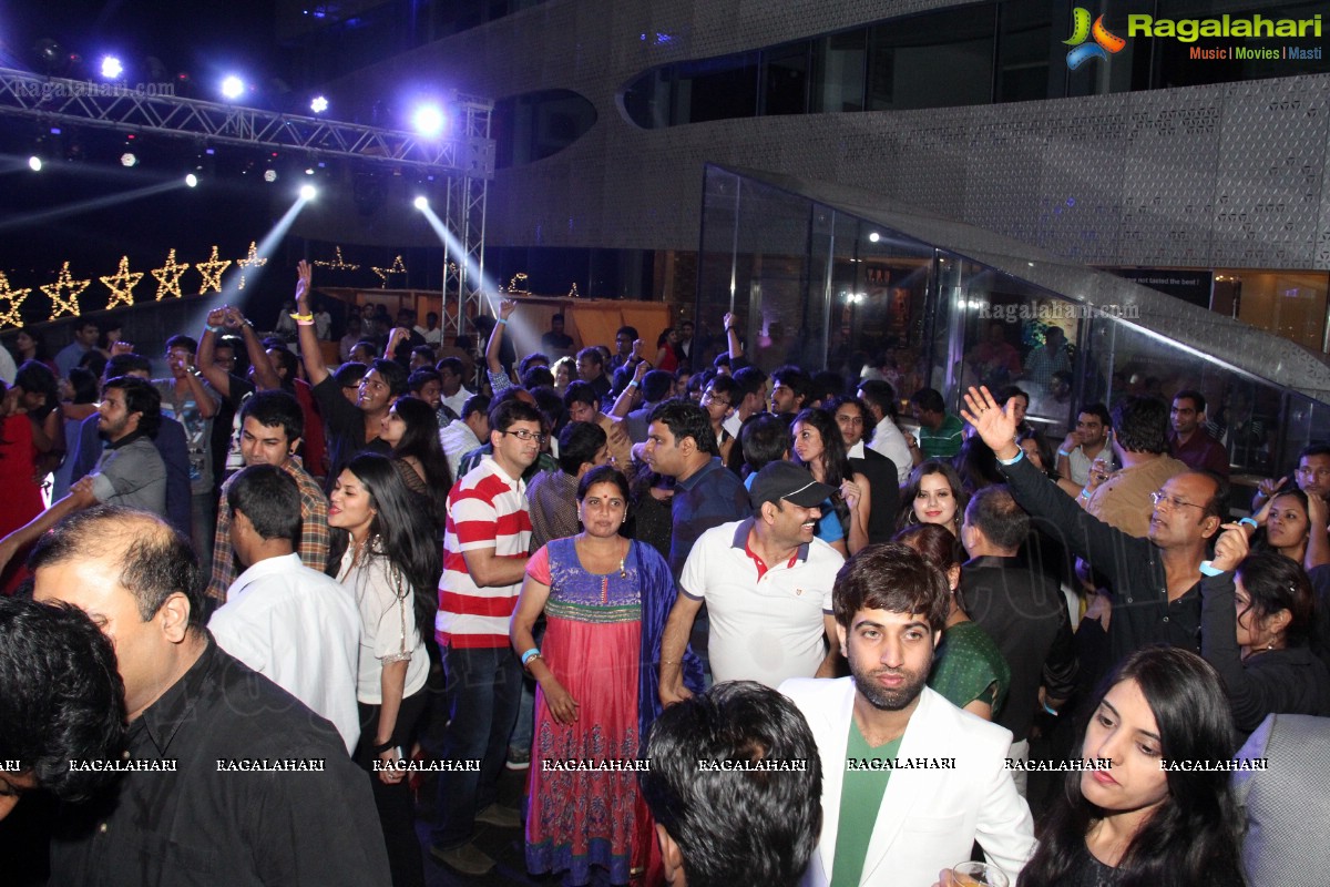 New Year Celebrations 2014 at The Park, Hyderabad