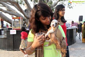 Blue Cross Pet Carnival Hyderabad