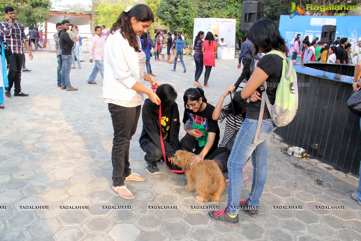 Pedigree Blue Cross Pet Carnival 2014 at N Convention