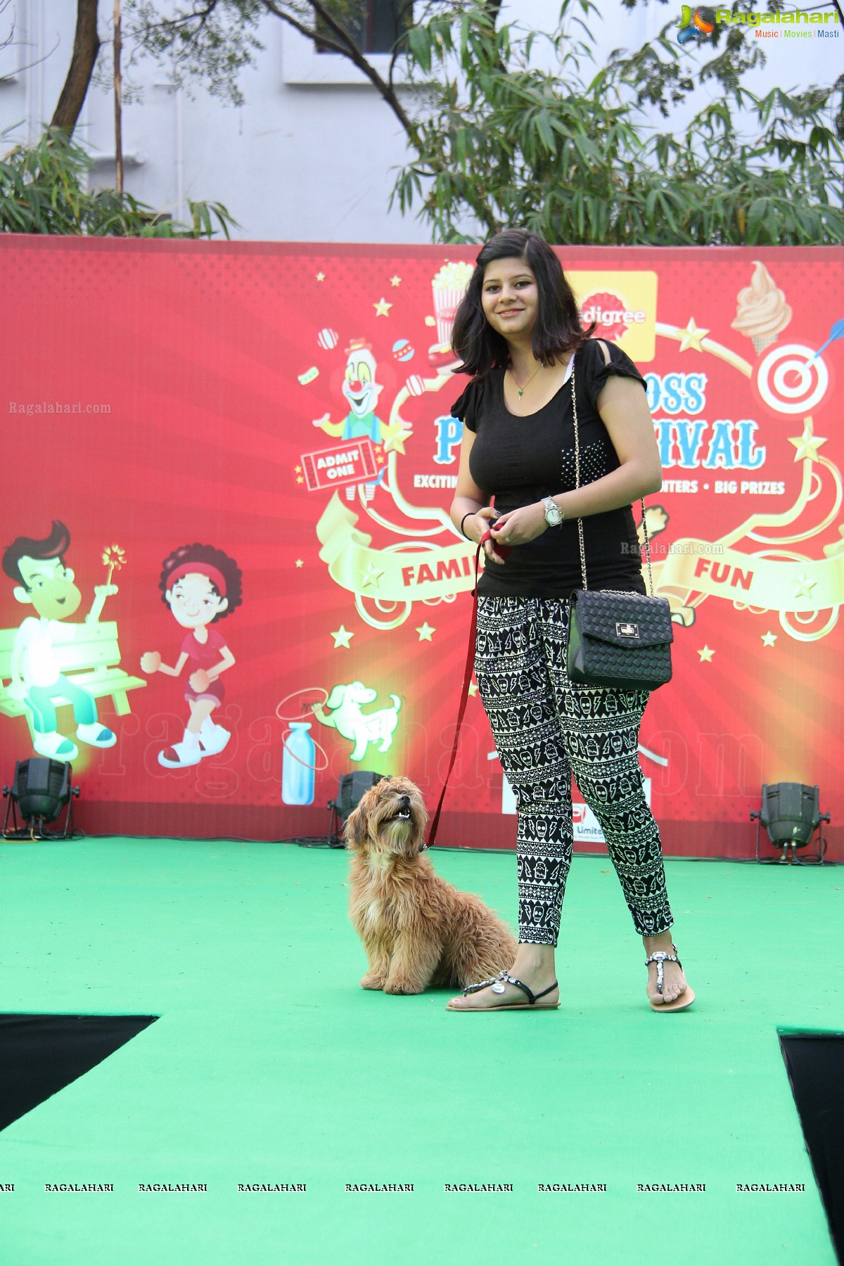 Pedigree Blue Cross Pet Carnival 2014 at N Convention