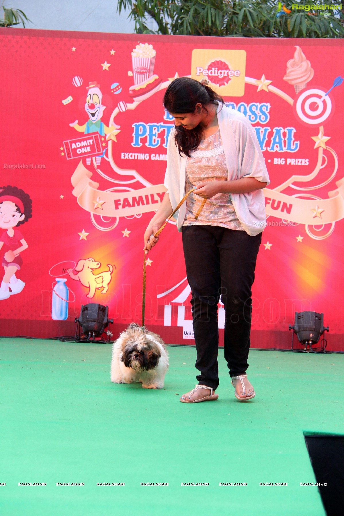 Pedigree Blue Cross Pet Carnival 2014 at N Convention