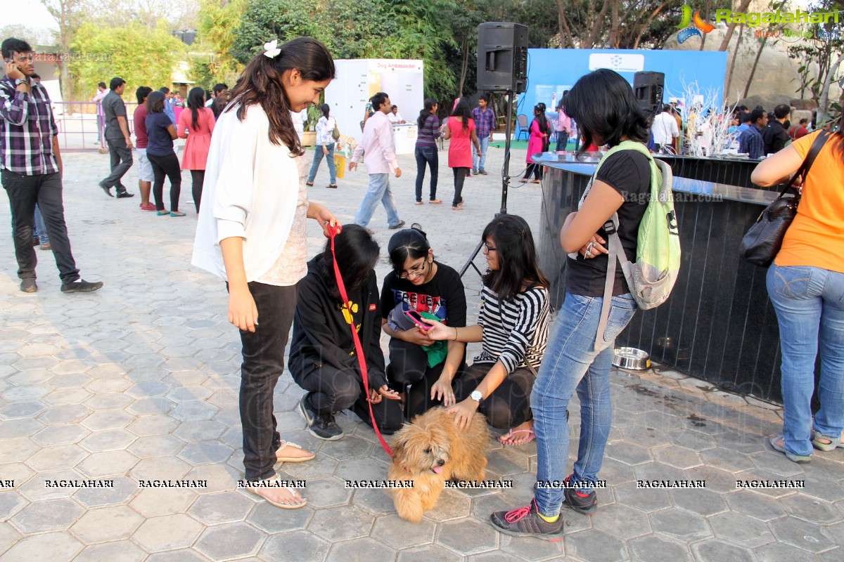 Pedigree Blue Cross Pet Carnival 2014 at N Convention