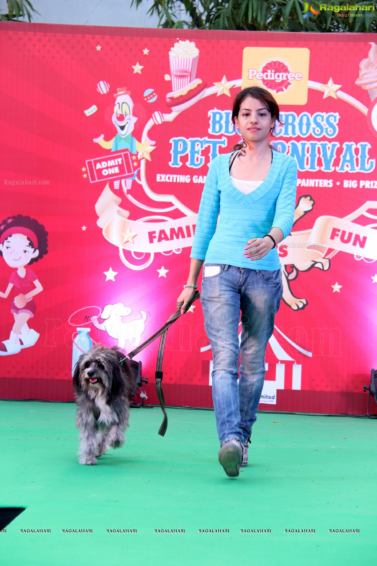 Pedigree Blue Cross Pet Carnival 2014 at N Convention