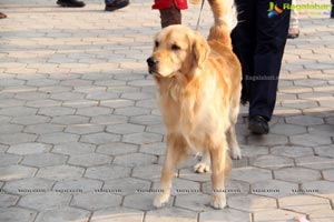 Blue Cross Pet Carnival Hyderabad