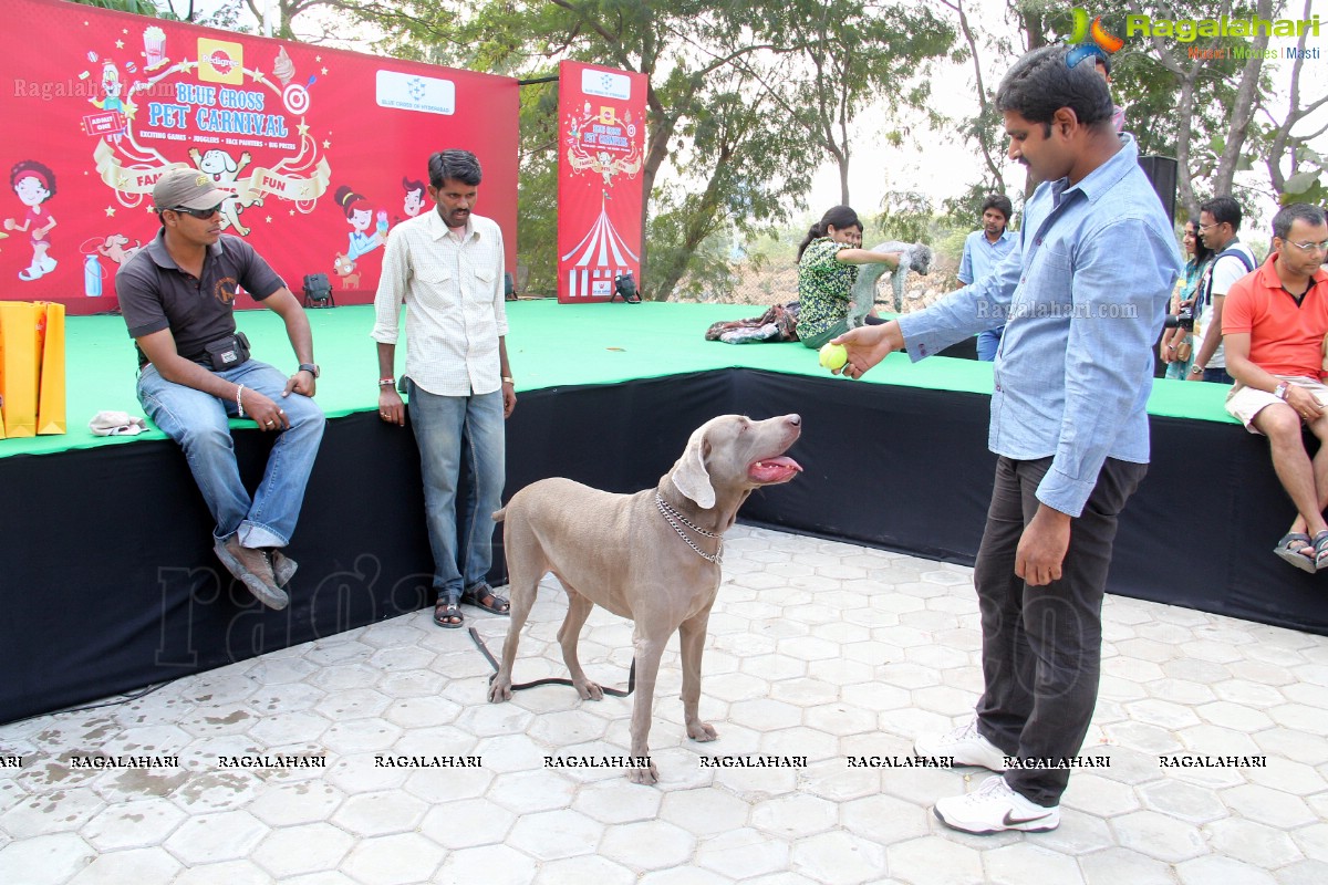 Pedigree Blue Cross Pet Carnival 2014 at N Convention