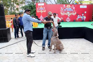 Blue Cross Pet Carnival Hyderabad