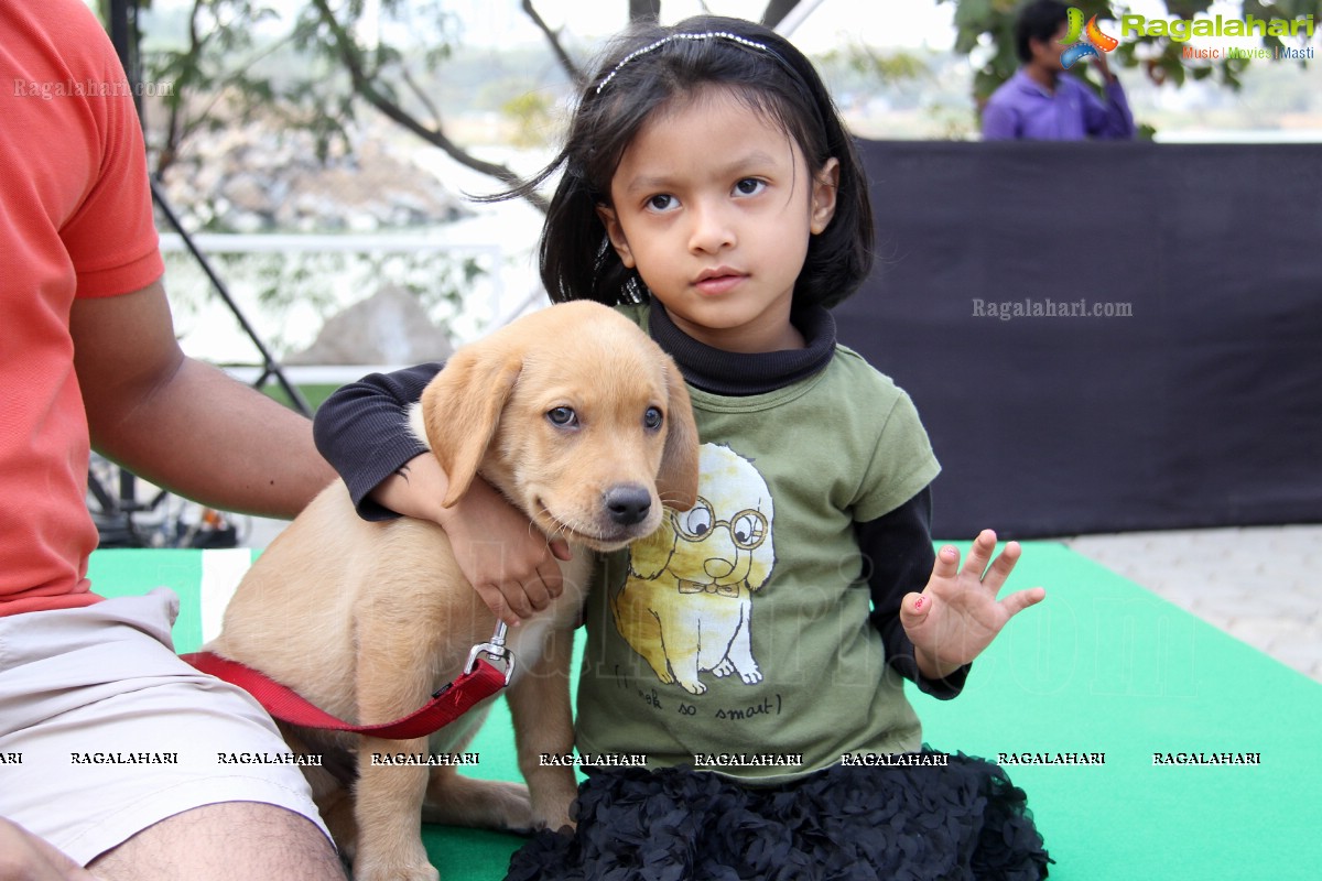 Pedigree Blue Cross Pet Carnival 2014 at N Convention