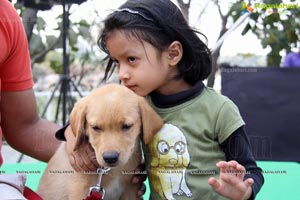 Blue Cross Pet Carnival Hyderabad