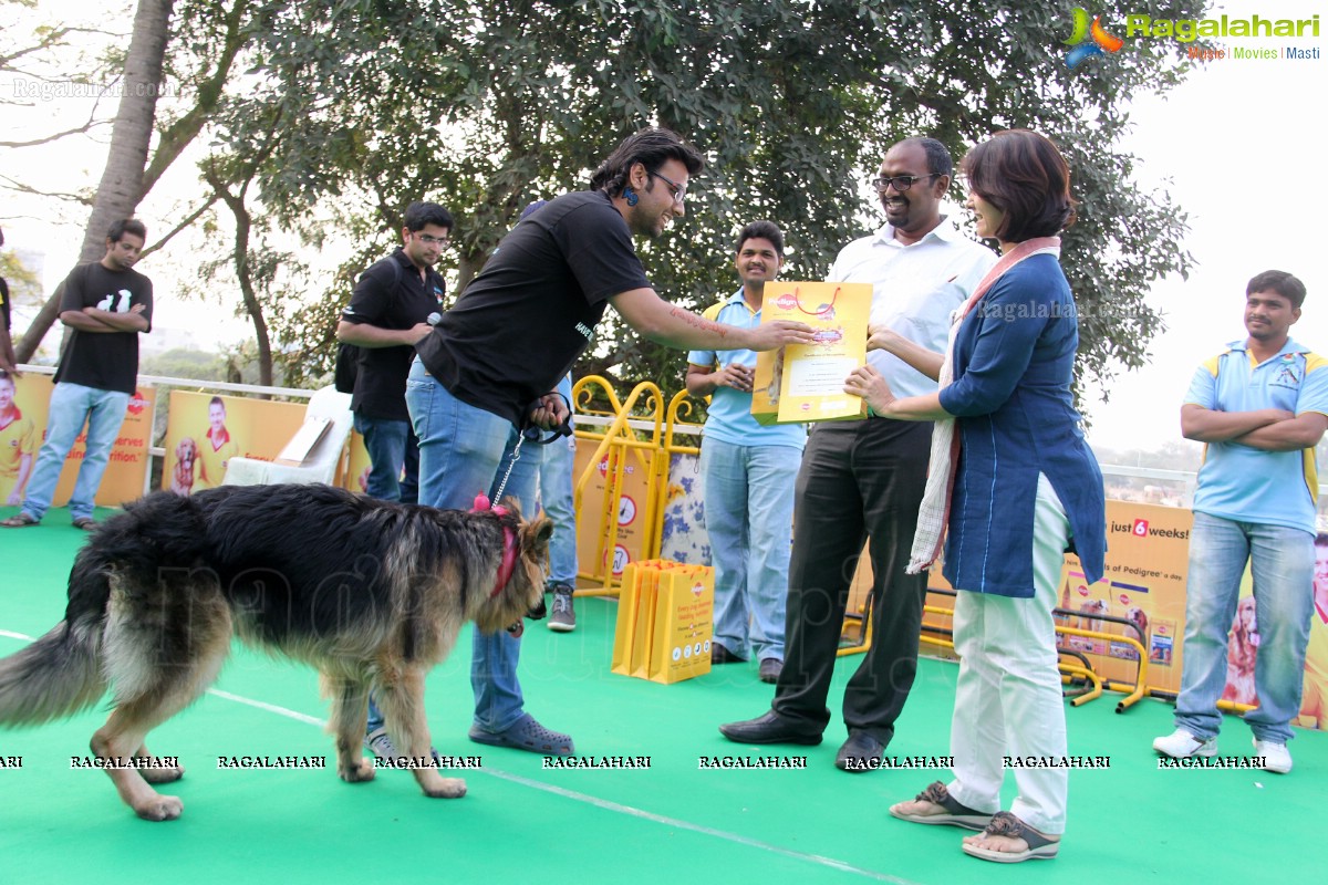 Pedigree Blue Cross Pet Carnival 2014 at N Convention