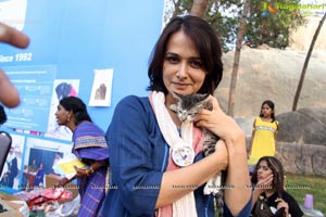 Blue Cross Pet Carnival Hyderabad