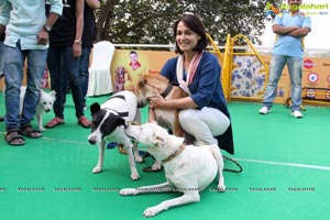 Blue Cross Pet Carnival Hyderabad