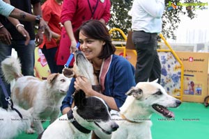 Blue Cross Pet Carnival Hyderabad