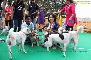 Blue Cross Pet Carnival Hyderabad