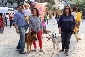 Blue Cross Pet Carnival Hyderabad