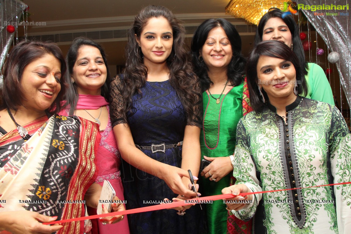 Asmita Sood inaugurates Khwaaish Exhibition n Sale at Taj Krishna