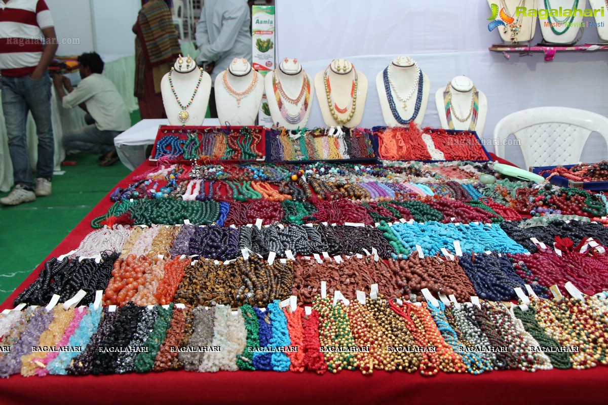 Lepakshi Handloom and Handicrafts Exhibition (Jan 2014) Hyderabad