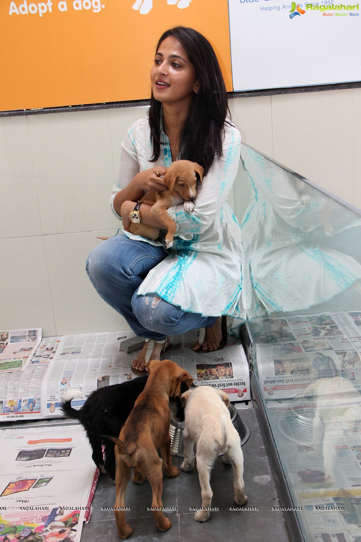 Pedigree Blue Cross Pet Carnival 2014, Hyderabad