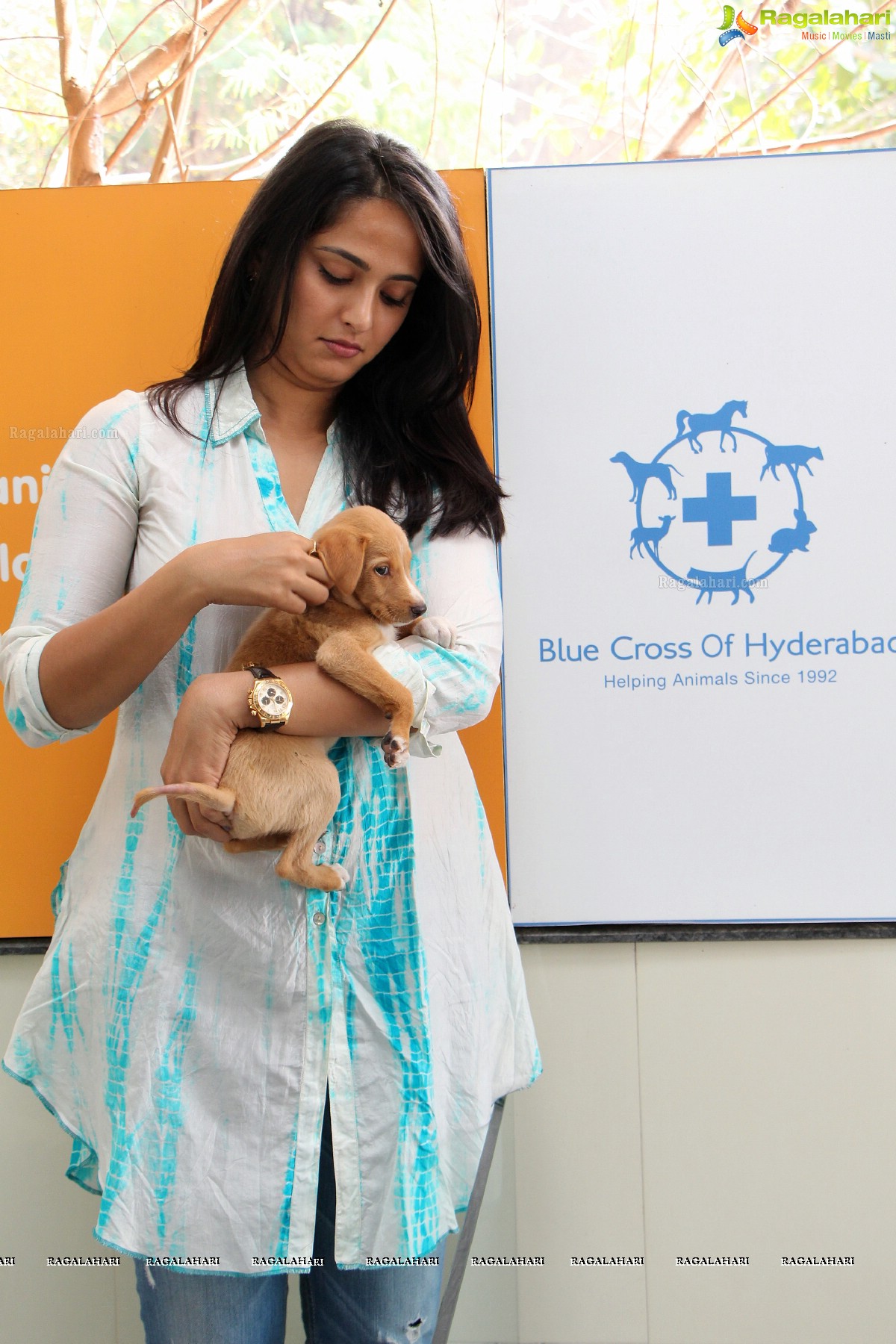 Pedigree Blue Cross Pet Carnival 2014, Hyderabad