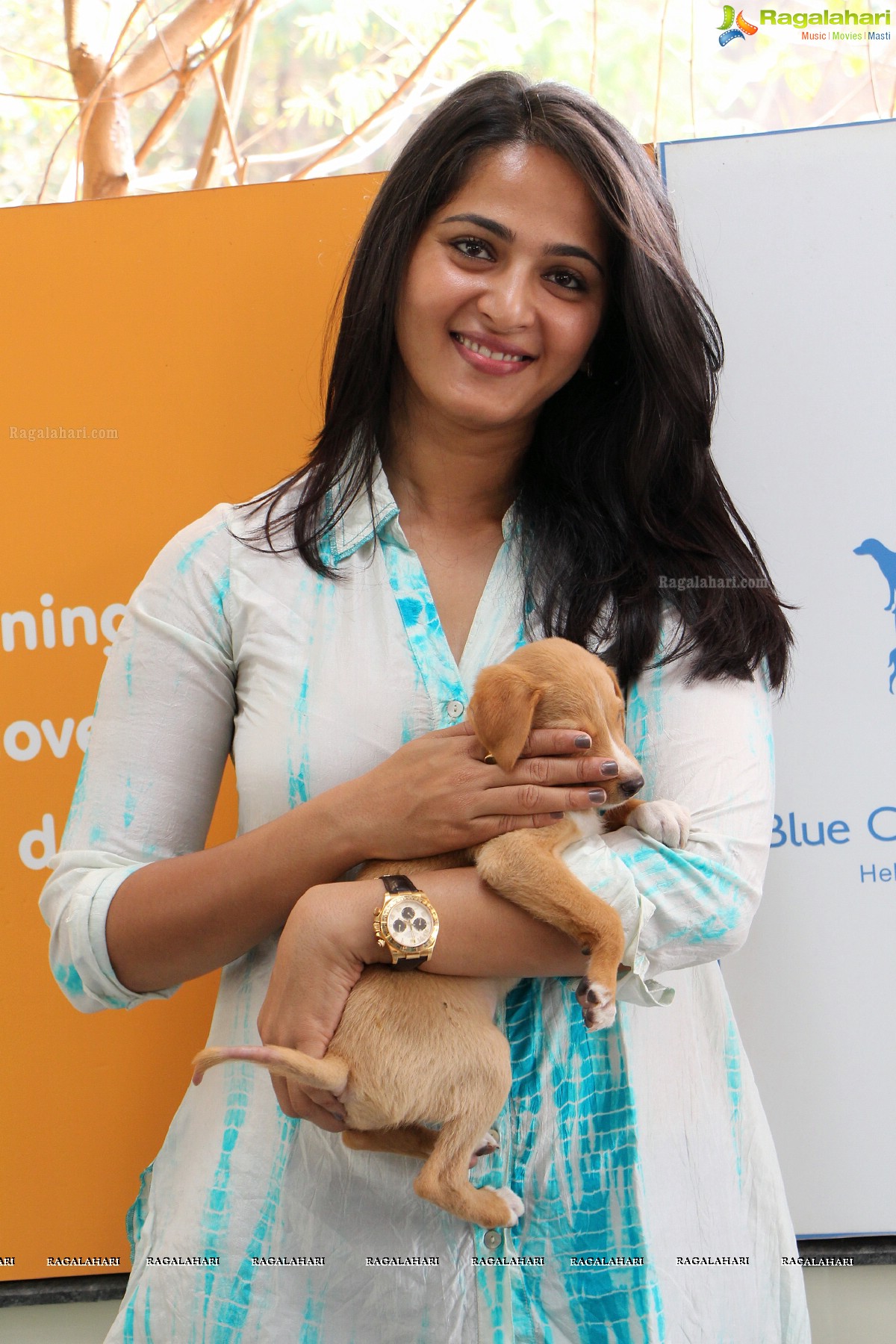 Pedigree Blue Cross Pet Carnival 2014, Hyderabad