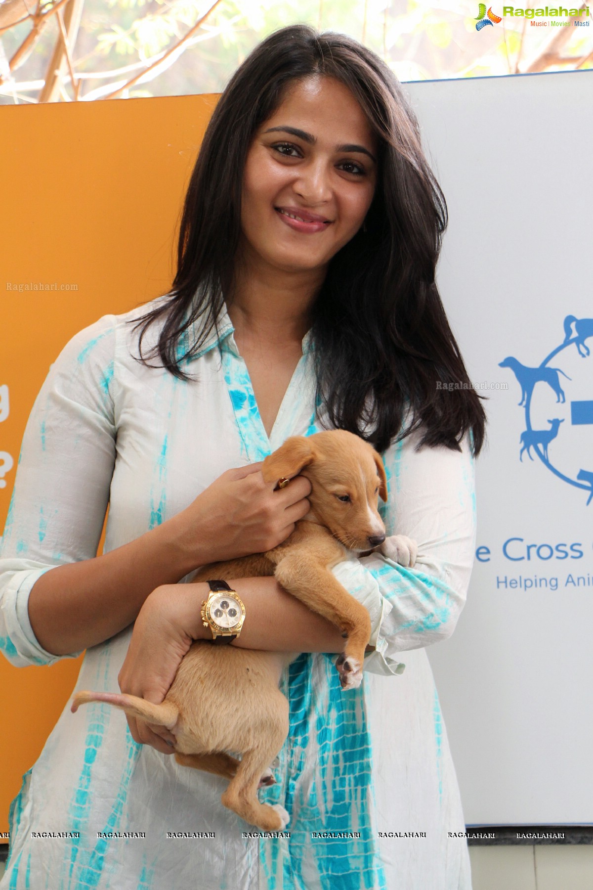 Pedigree Blue Cross Pet Carnival 2014, Hyderabad