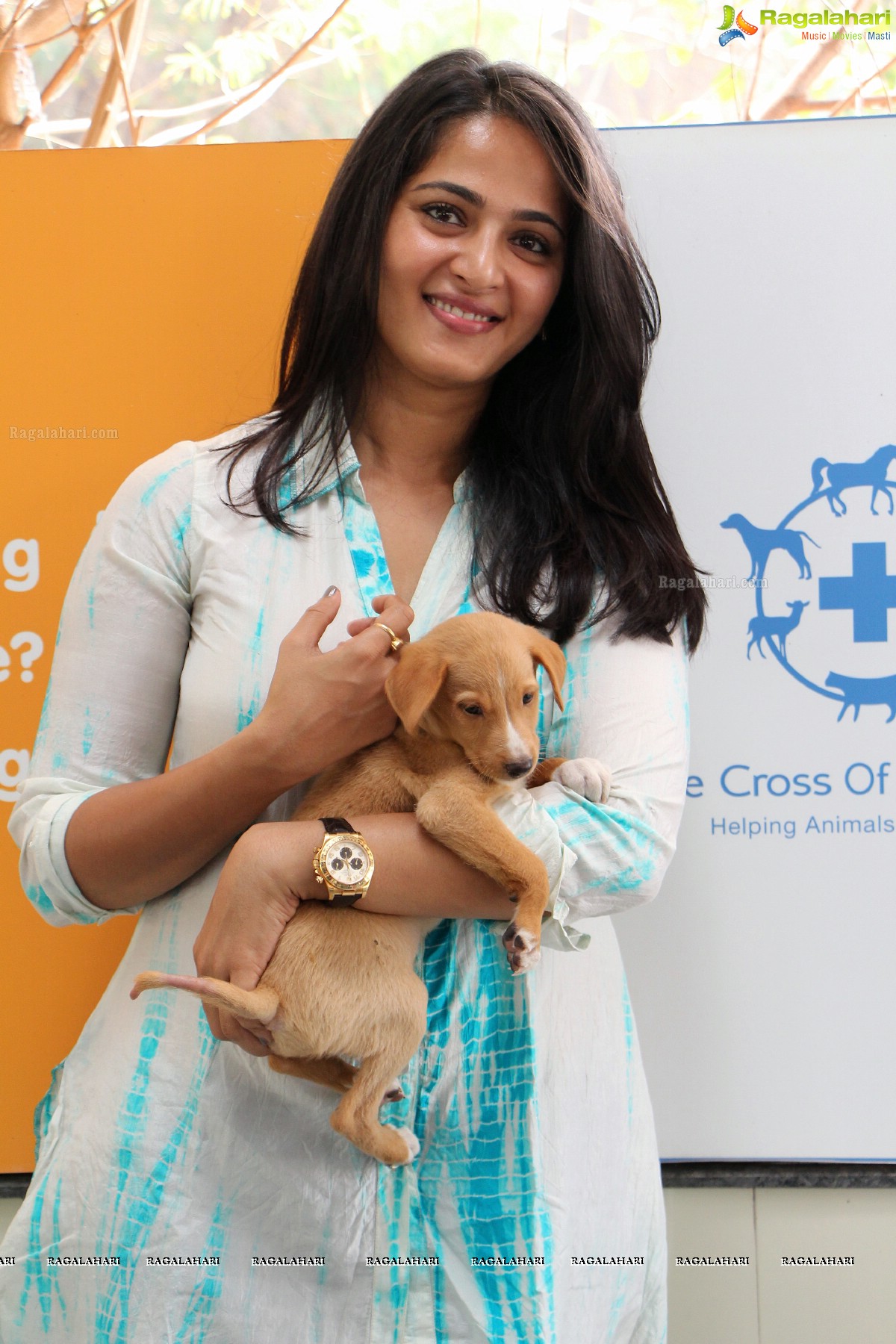 Pedigree Blue Cross Pet Carnival 2014, Hyderabad