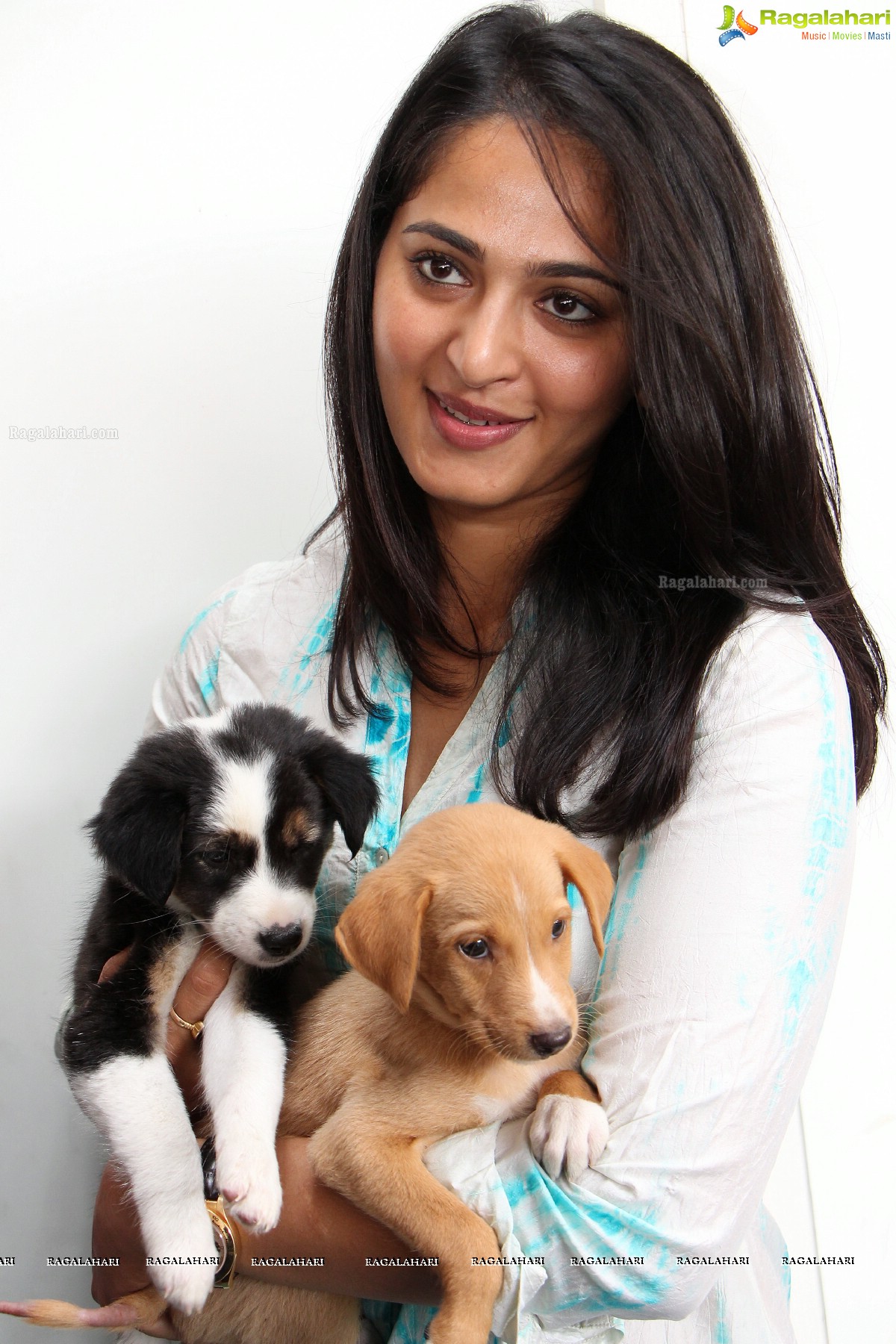 Pedigree Blue Cross Pet Carnival 2014, Hyderabad