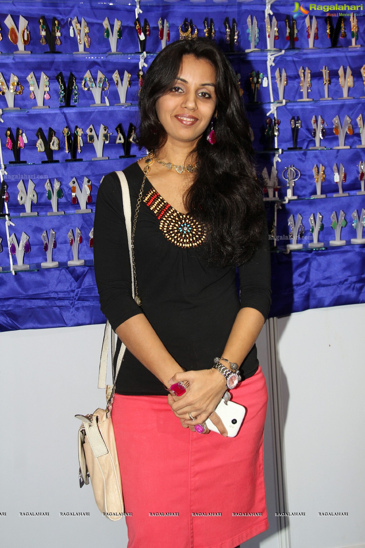 Hyderabad Petals Exhibition (Jan. 2014)