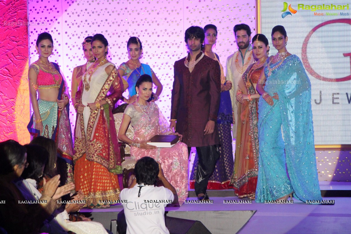 The Hindu Bridal Mantra 2014, Hyderabad