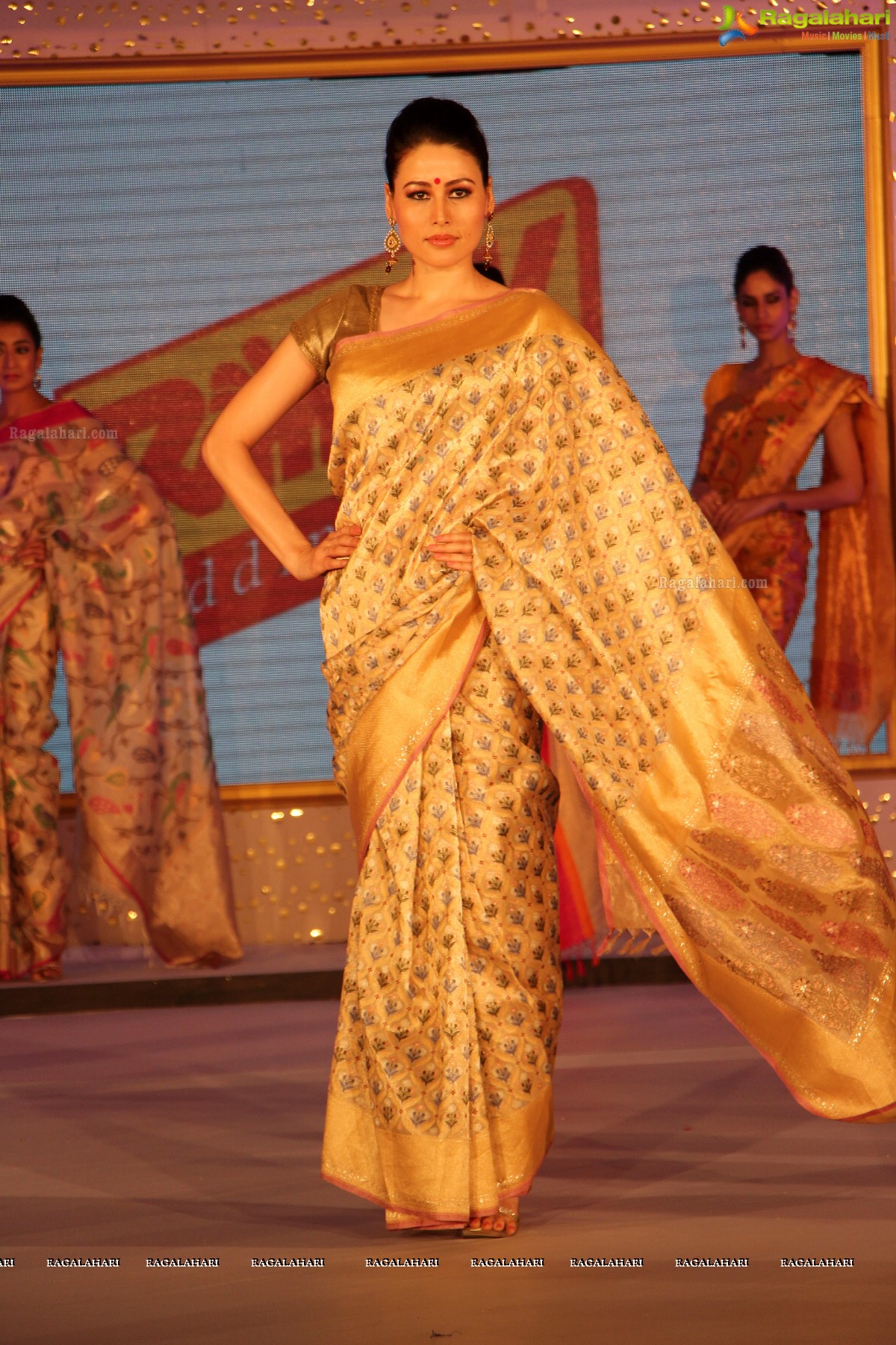 The Hindu Bridal Mantra 2014, Hyderabad