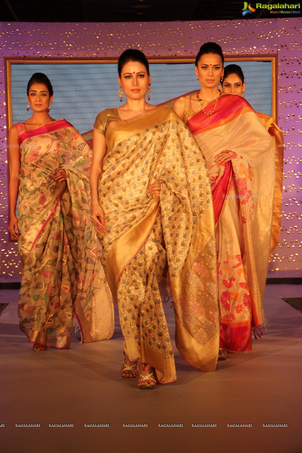 The Hindu Bridal Mantra 2014, Hyderabad