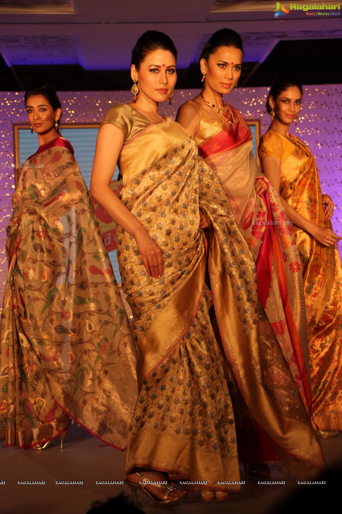 The Hindu Bridal Mantra 2014, Hyderabad