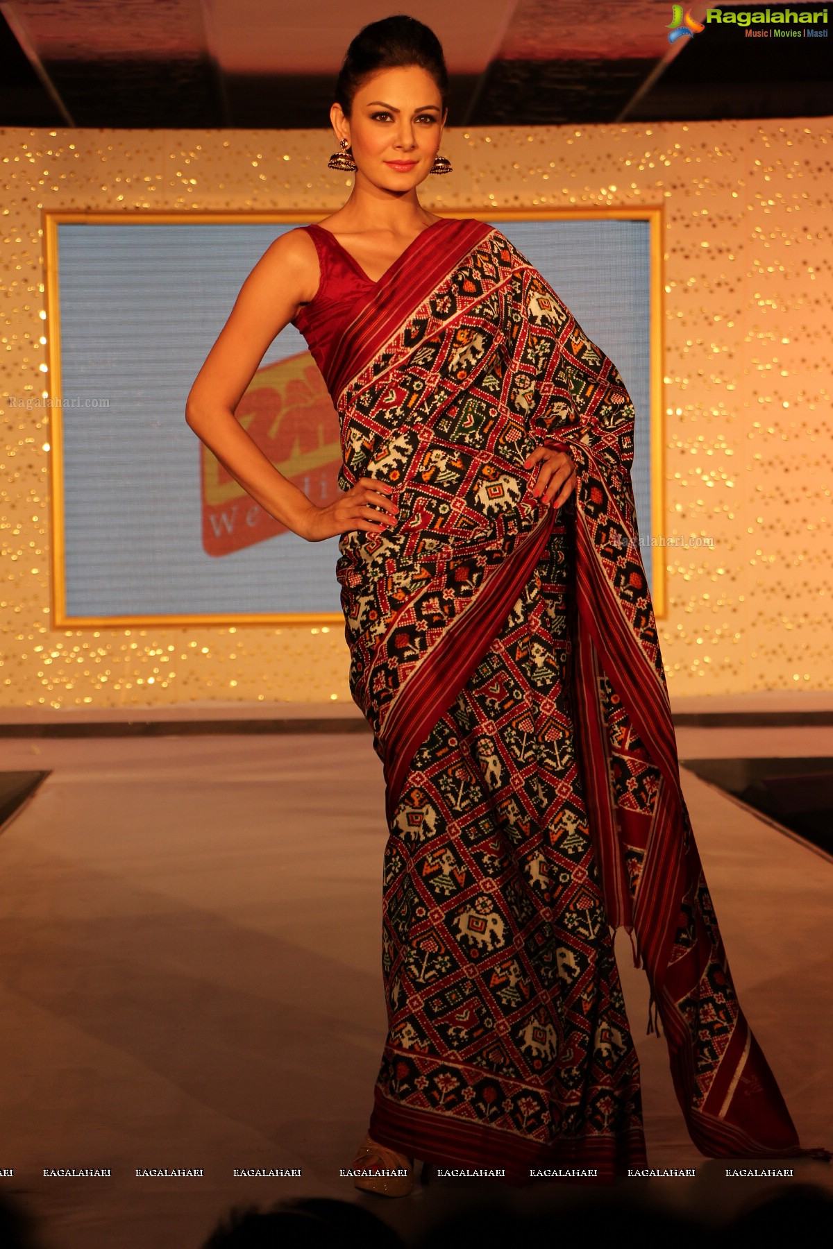 The Hindu Bridal Mantra 2014, Hyderabad