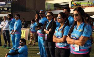 Celebrity Cricket League