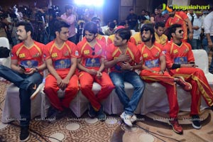 Celebrity Cricket League