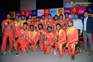 Celebrity Cricket League