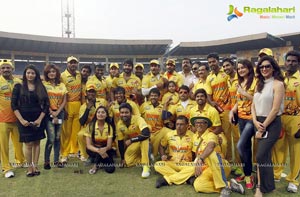 Celebrity Cricket League