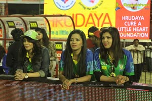 Celebrity Cricket League