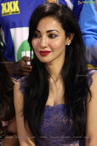 Celebrity Cricket League