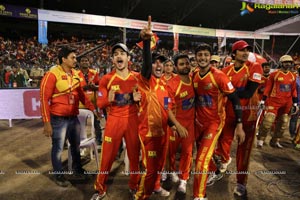 Celebrity Cricket League