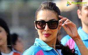 Celebrity Cricket League