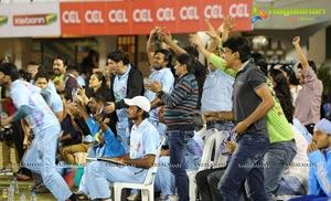 Celebrity Cricket League