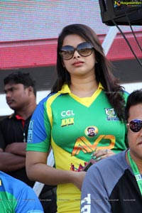 Celebrity Cricket League