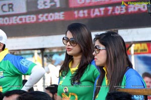 Celebrity Cricket League