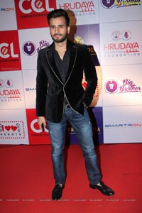 100 Hearts Red Carpet by CCL