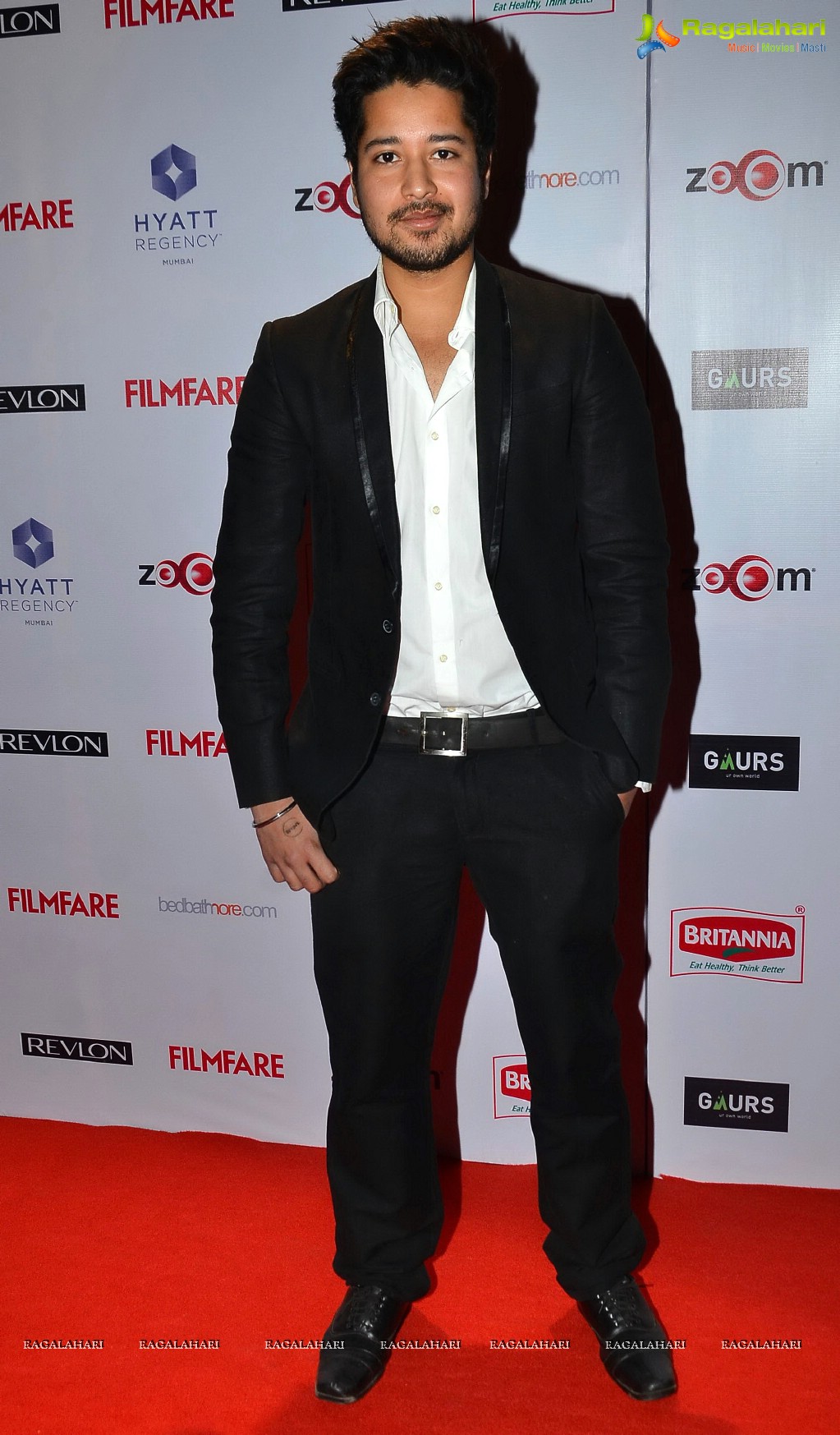 Celebs at the Red Carpet of '60th Britannia Filmfare Awards 2014'